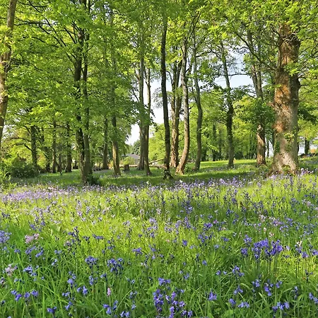 度假居 卡里杰里田园酒店