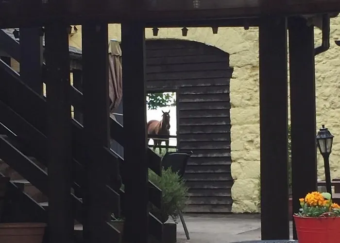 度假居 卡里杰里田园酒店 *