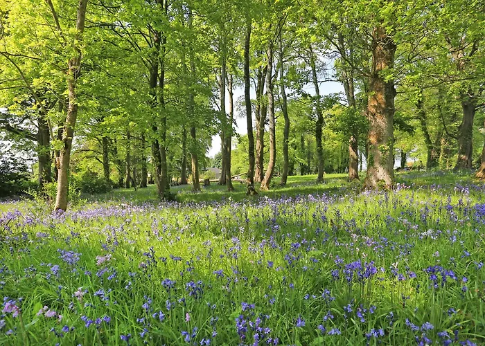 度假居 卡里杰里田园酒店